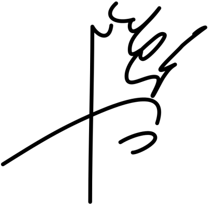Abstract Handwritten Signature