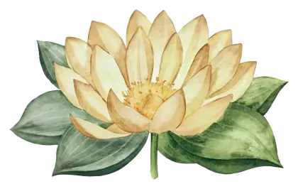 Serene Yellow Lotus Flower