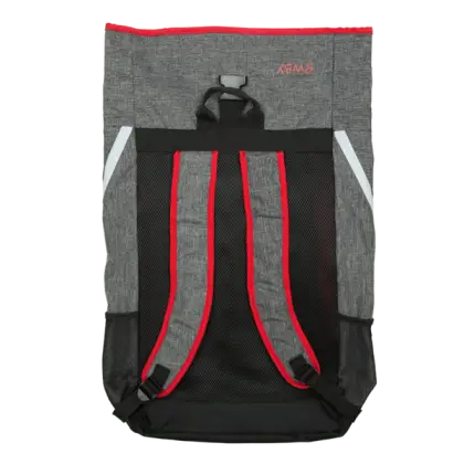 Gray and Red Backpack