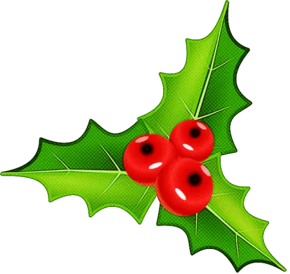 Holly Leaves and Red Berries Illustration for Christmas