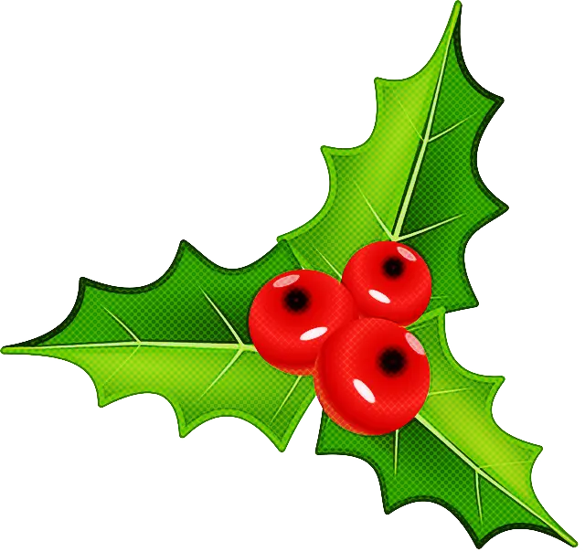 Holly Leaves and Red Berries Illustration for Christmas