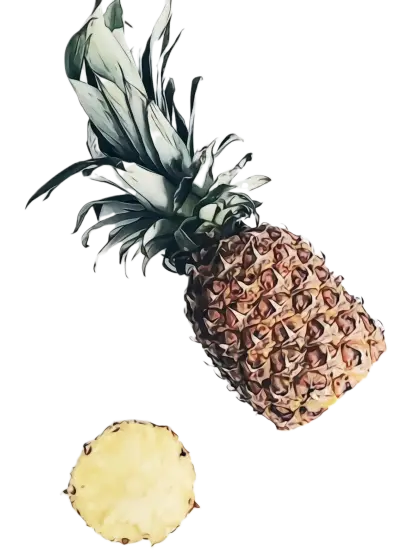 Pineapple and Slice Illustration