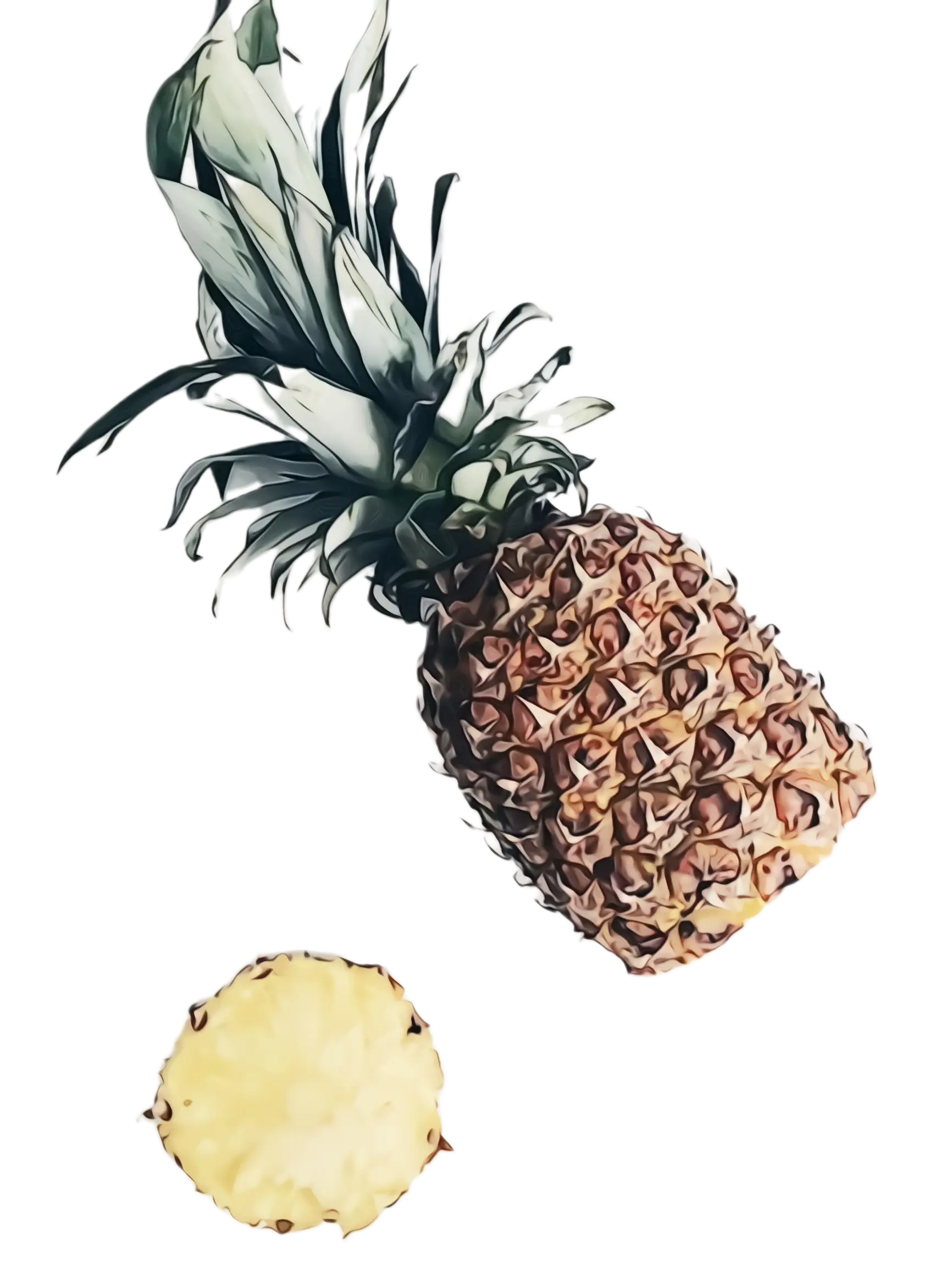 Pineapple and Slice Illustration