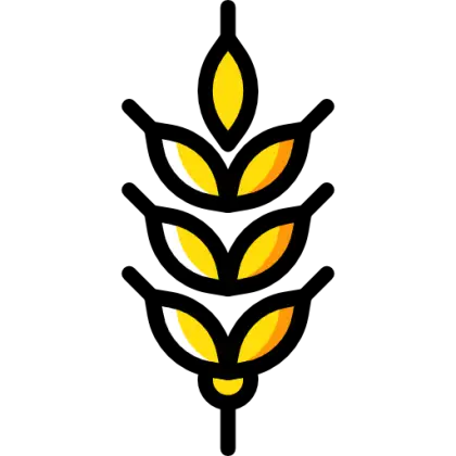 Yellow Wheat Agricultural Icon