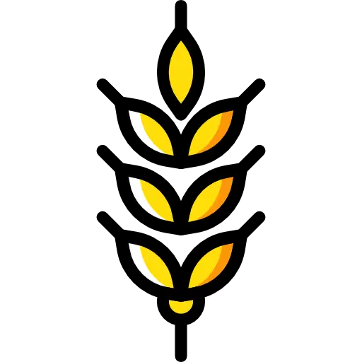 Yellow Wheat Agricultural Icon