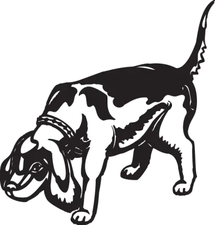 Black and White Sniffing Dog Illustration