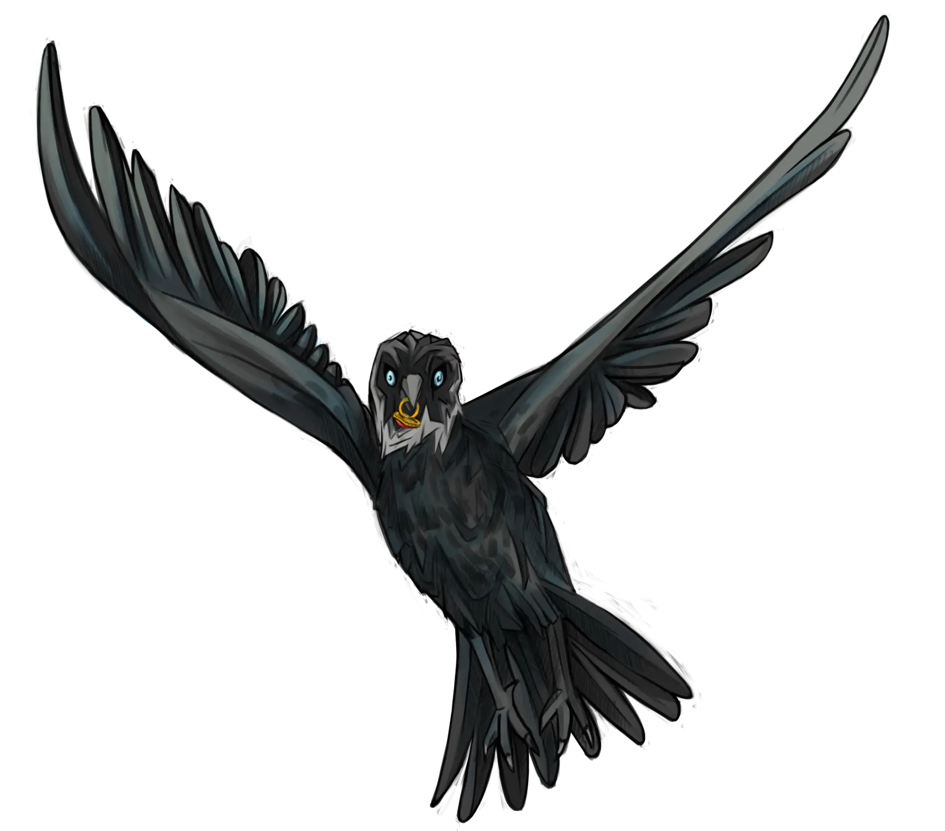 Black Raven Flying in the Sky