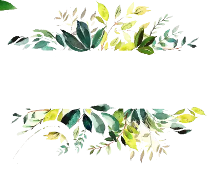 Watercolor Foliage Border Design
