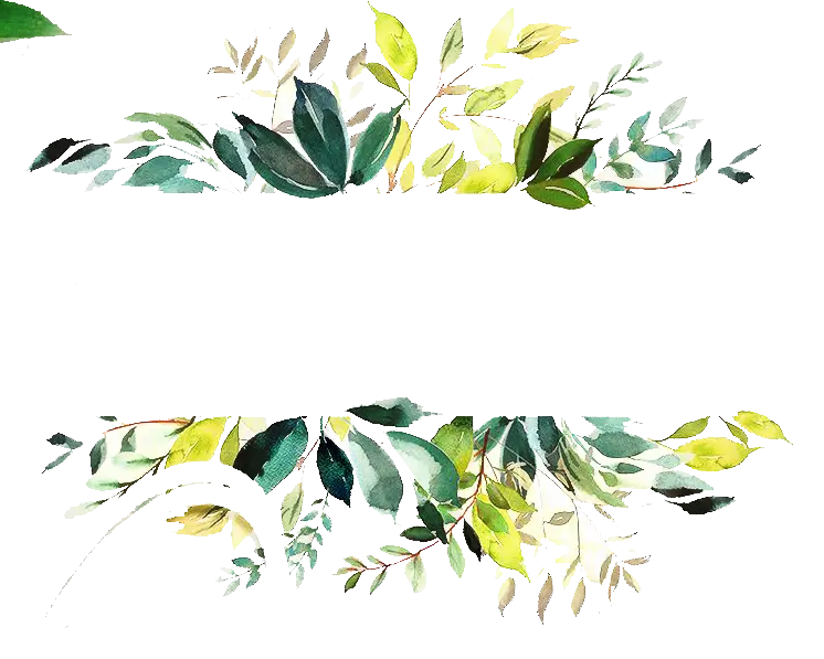 Watercolor Foliage Border Design