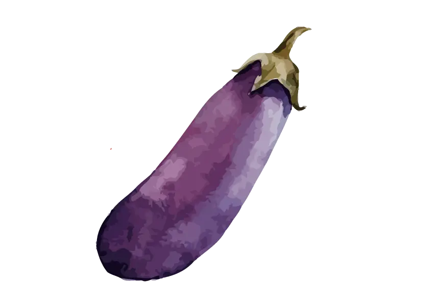 Fresh Purple Eggplant