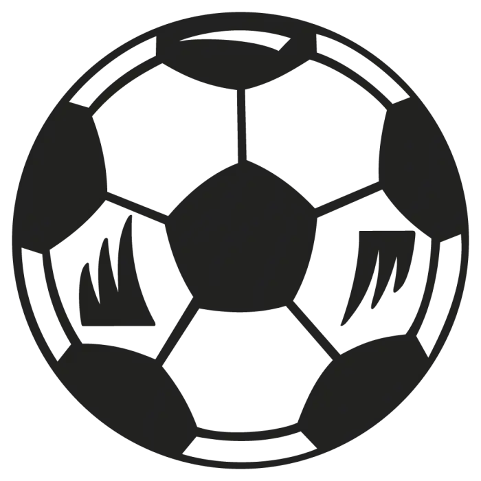 Soccer Ball Graphic Icon in Black and White