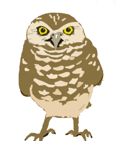 Cartoon Illustration of a Burrowing Owl