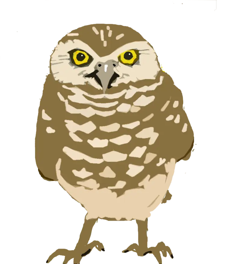 Cartoon Illustration of a Burrowing Owl