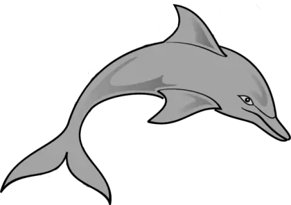 Gray Dolphin Graphic Illustration