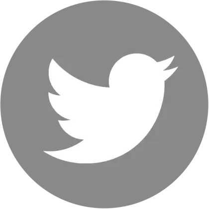 Gray Twitter Icon with Bird Logo
