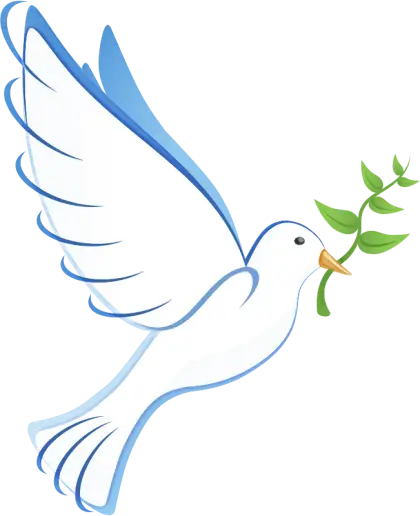 White Dove Holding Olive Branch Illustration