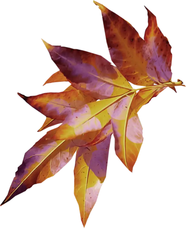Dried Autumn Leaves with Orange Hues