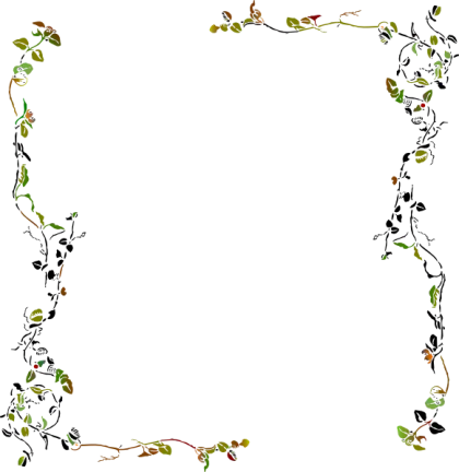 Floral Frame with Leaves and Vines