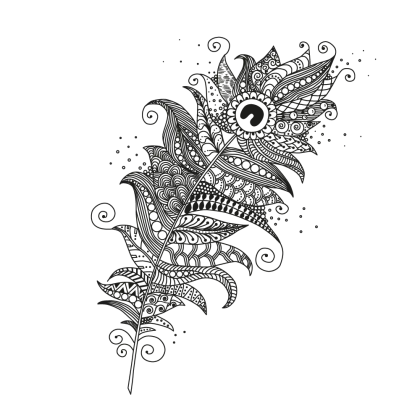 Intricate Black and White Peacock Feather Illustration