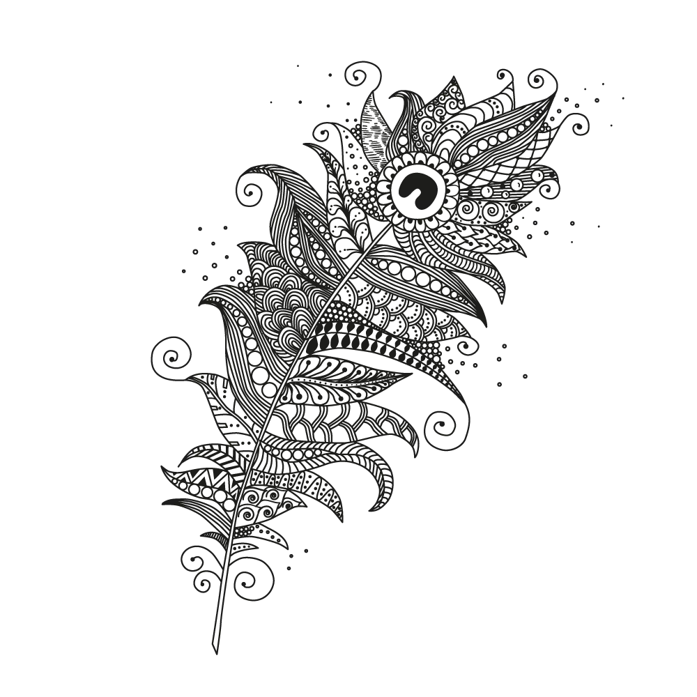 Intricate Black and White Peacock Feather Illustration