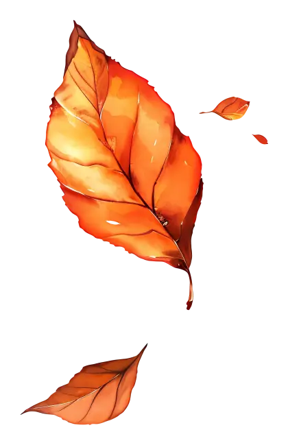 Orange Autumn Leaf Illustration