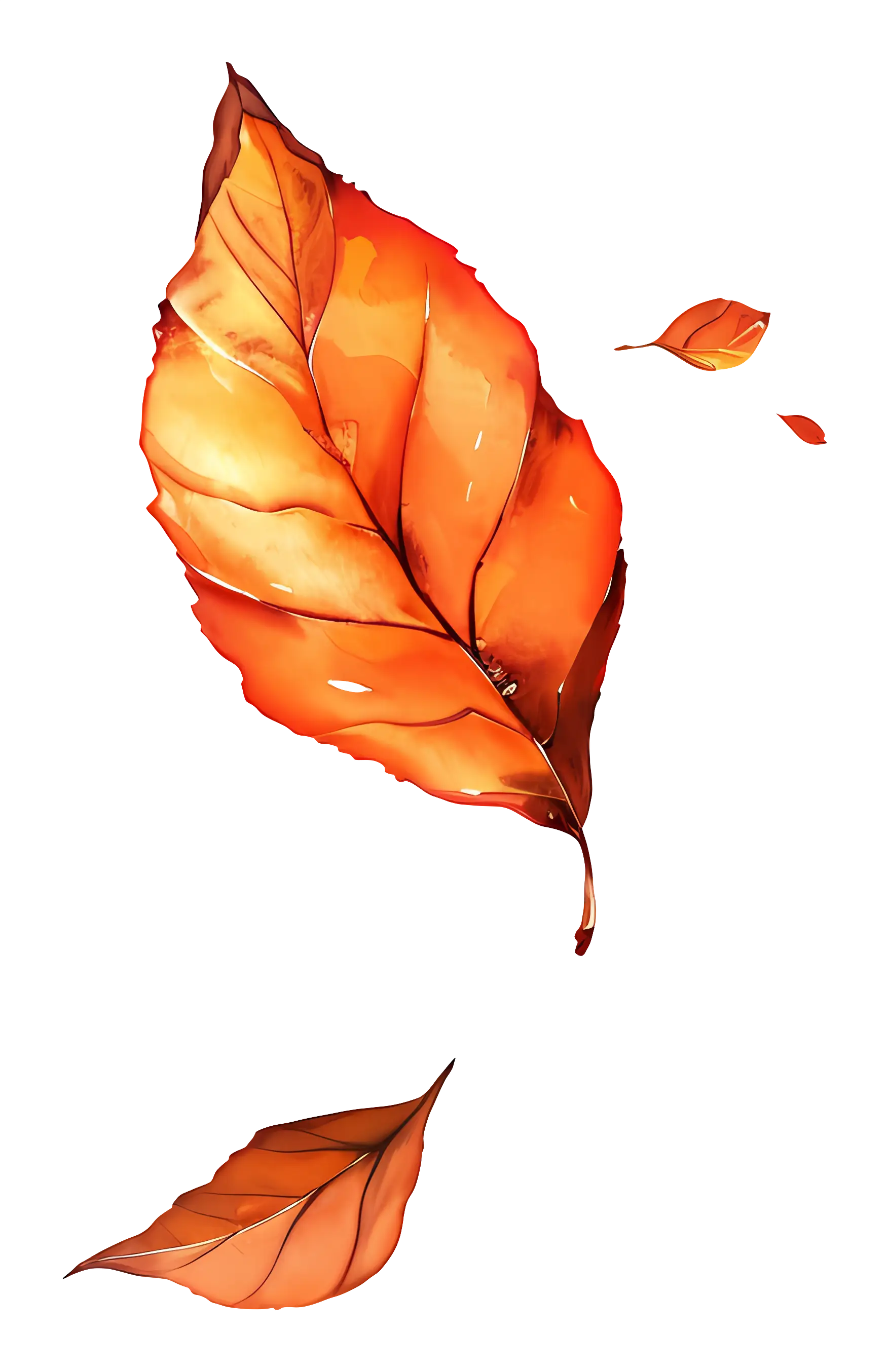 Orange Autumn Leaf Illustration