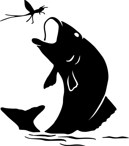 Black Fish Catching Fly Silhouette