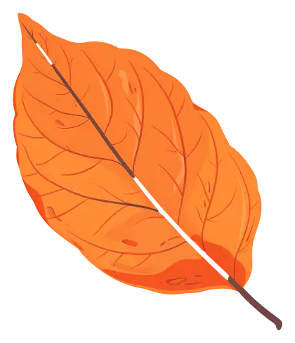 Bright Orange Autumn Leaf