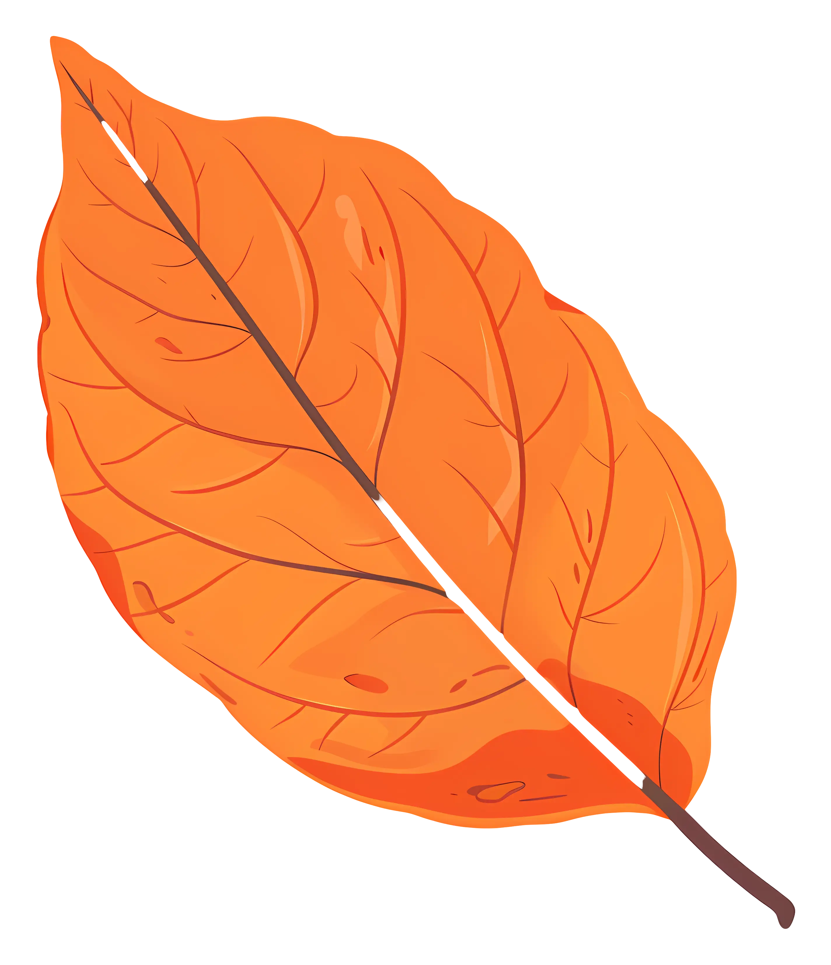 Bright Orange Autumn Leaf