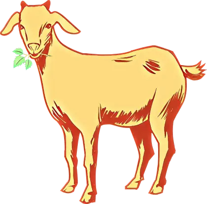Illustration of a Goat Chewing a Leaf