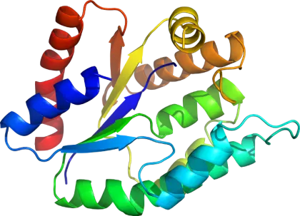 Protein Structure Scientific Illustration