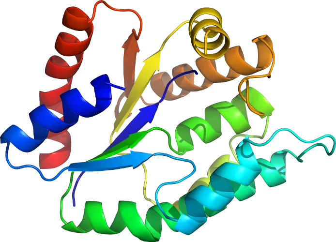 Protein Structure Scientific Illustration