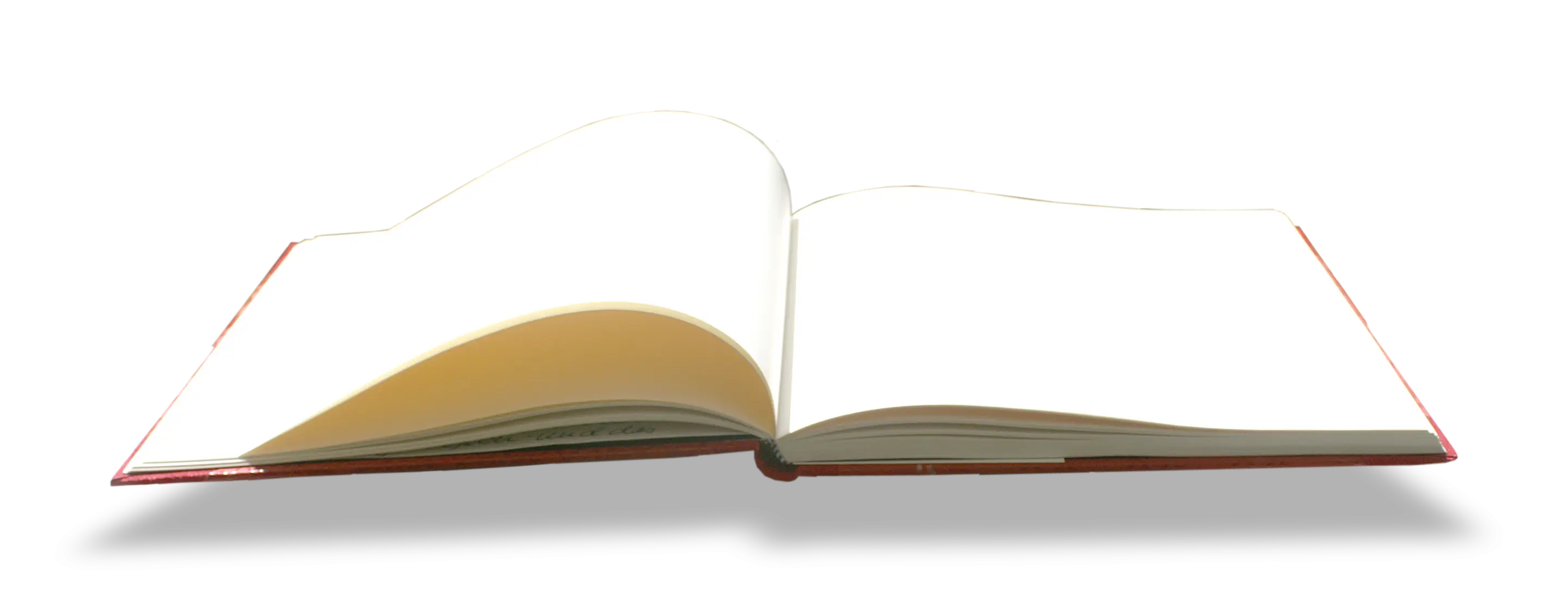 Open Blank Book with Visible Pages