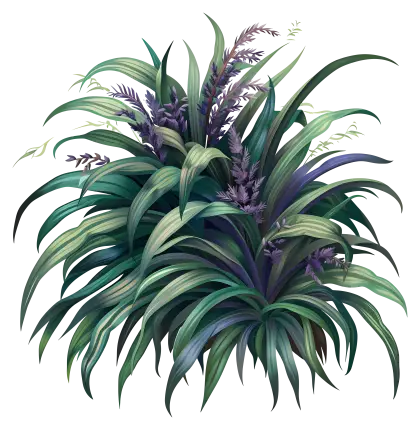 Dense and Lush Green Foliage