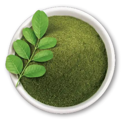 Organic Green Powder in a Bowl