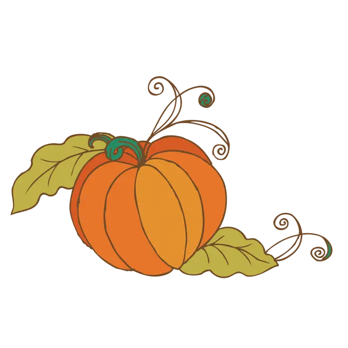 Ornamental Pumpkin with Leaves