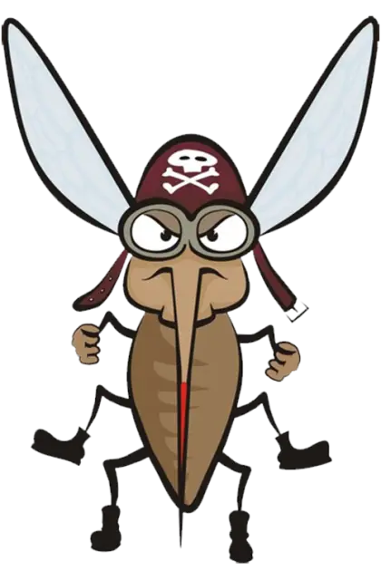 Pirate Cartoon Mosquito
