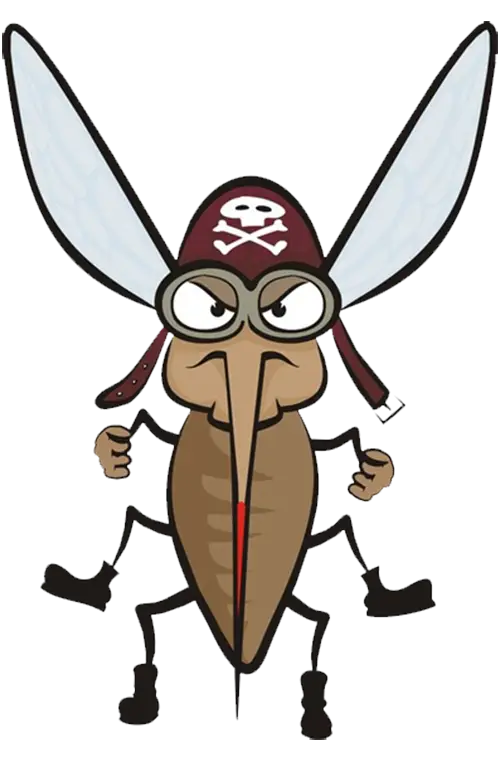 Pirate Cartoon Mosquito