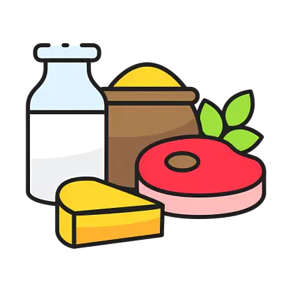 Colorful Food Items Illustration