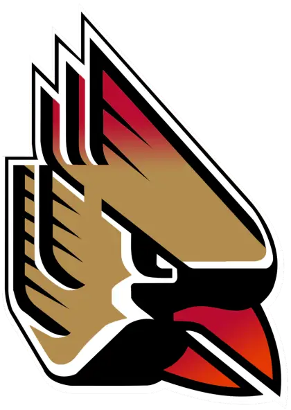 Stylized Bird Head Logo Design
