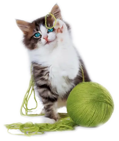 Kitten Playing with Green Yarn