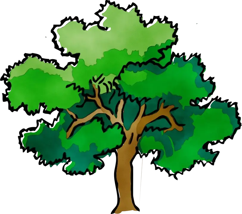 Illustration of a Green Tree