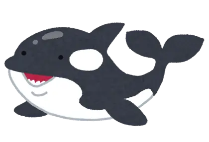 Cartoon Orca Illustration