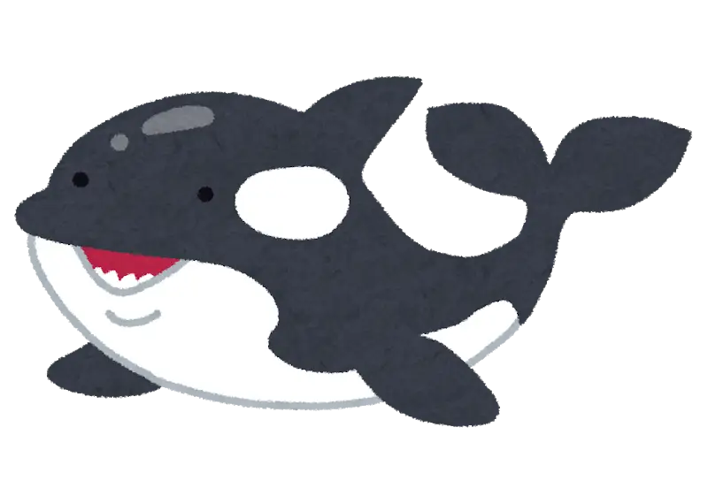 Cartoon Orca Illustration