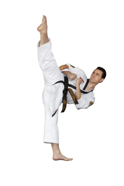 Martial Artist Demonstrating Karate Kick Pose