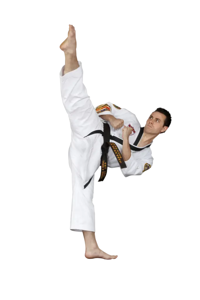 Martial Artist Demonstrating Karate Kick Pose