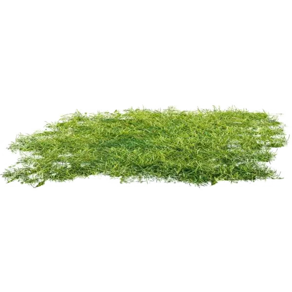 Green Grass Patch Illustration