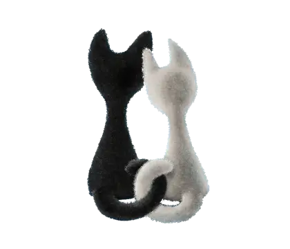 Black and White Cats Hugging