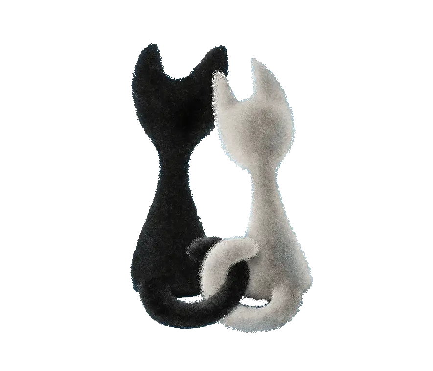 Black and White Cats Hugging