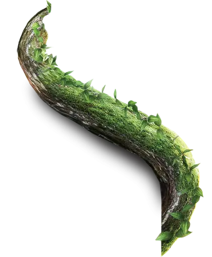 Curved Tree Branch with Moss and Leaves
